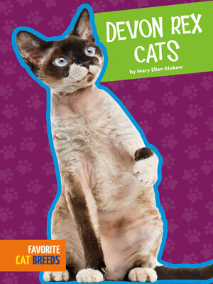 cover image of Devon Rex Cats